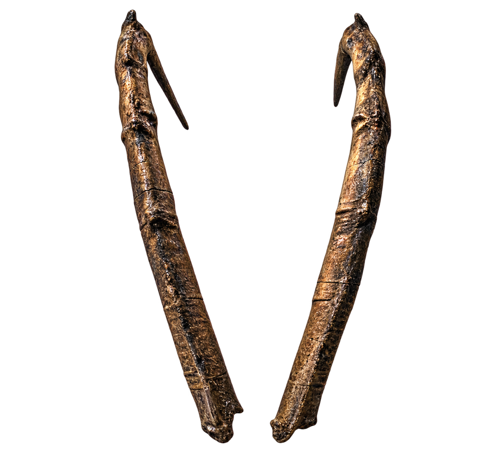 Bezoar Steinbock 3 - 118cm Schlauchlänge