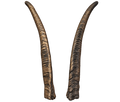 Geiss 1 - 33cm Schlauchlänge