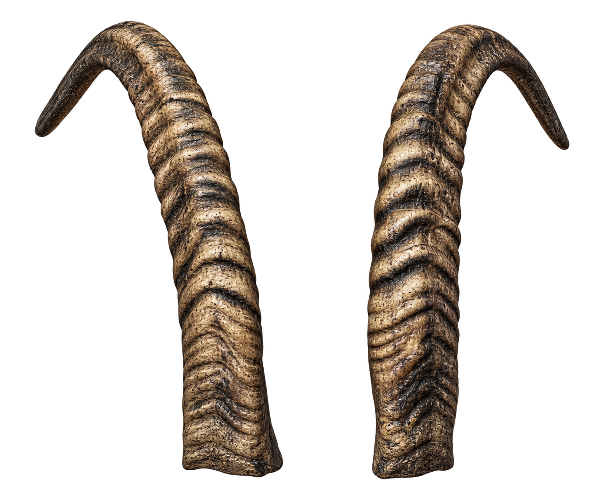 Geiss 2 - 29cm Schlauchlänge