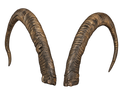 Geiss 5 - 45cm Schlauchlänge