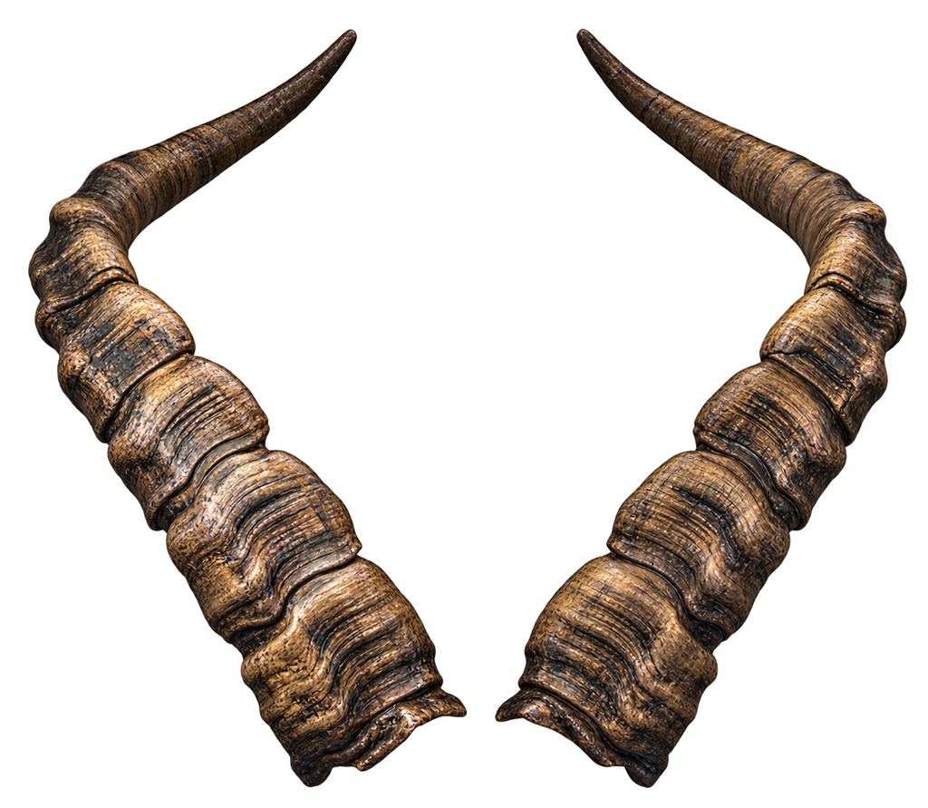 Iberien Steinbock 2 - 49cm Schlauchlänge