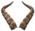 Iberien Steinbock 2 - 49cm Schlauchlänge