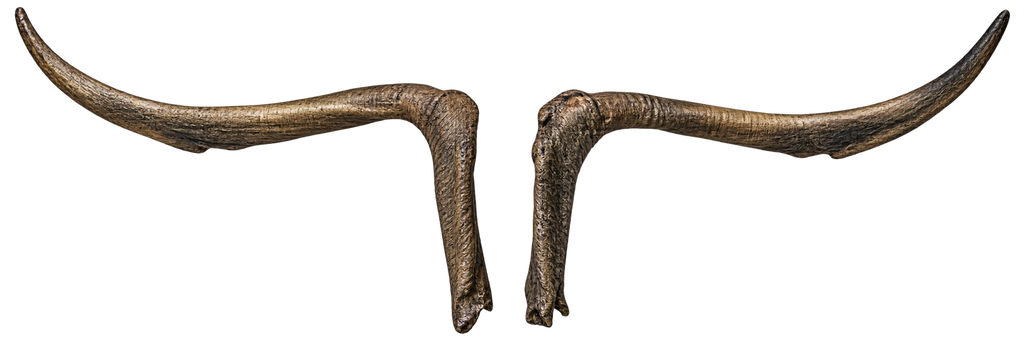Koch Bock - 111cm Schlauchlänge