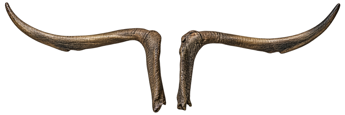 Koch Bock - 111cm Schlauchlänge