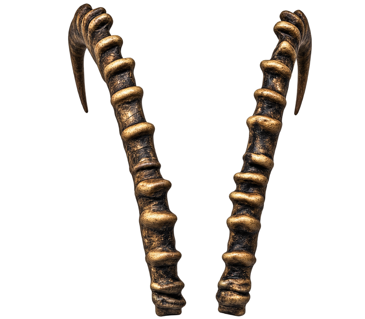 Nubischer Steinbock 2 - 72cm Schlauchlänge