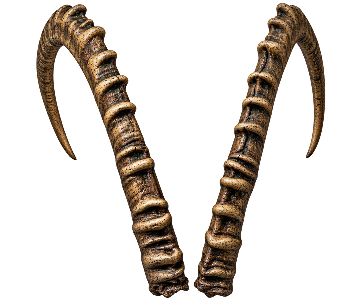 Nubischer Steinbock 3 - 95cm Schlauchlänge