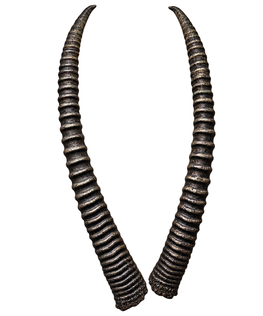 Säbelantilope - 97cm Schlauchlänge