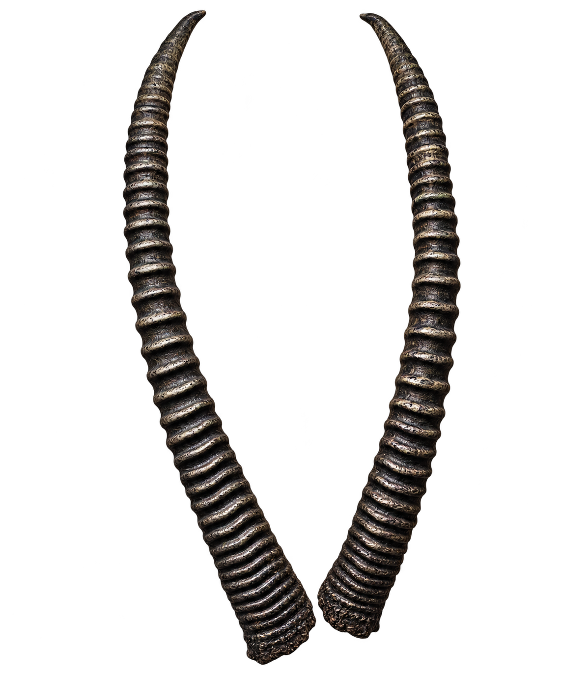 Säbelantilope - 97cm Schlauchlänge