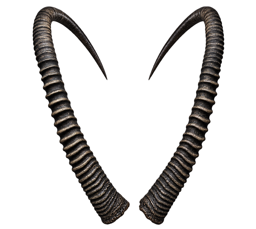 Säbelantilope Extremo - 154cm Schlauchlänge