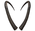 Säbelantilope Extremo - 154cm Schlauchlänge