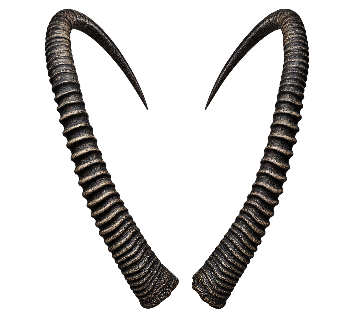 Säbelantilope Extremo - 154cm Schlauchlänge