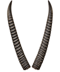 Wasserbock 2 - 75cm Schlauchlänge