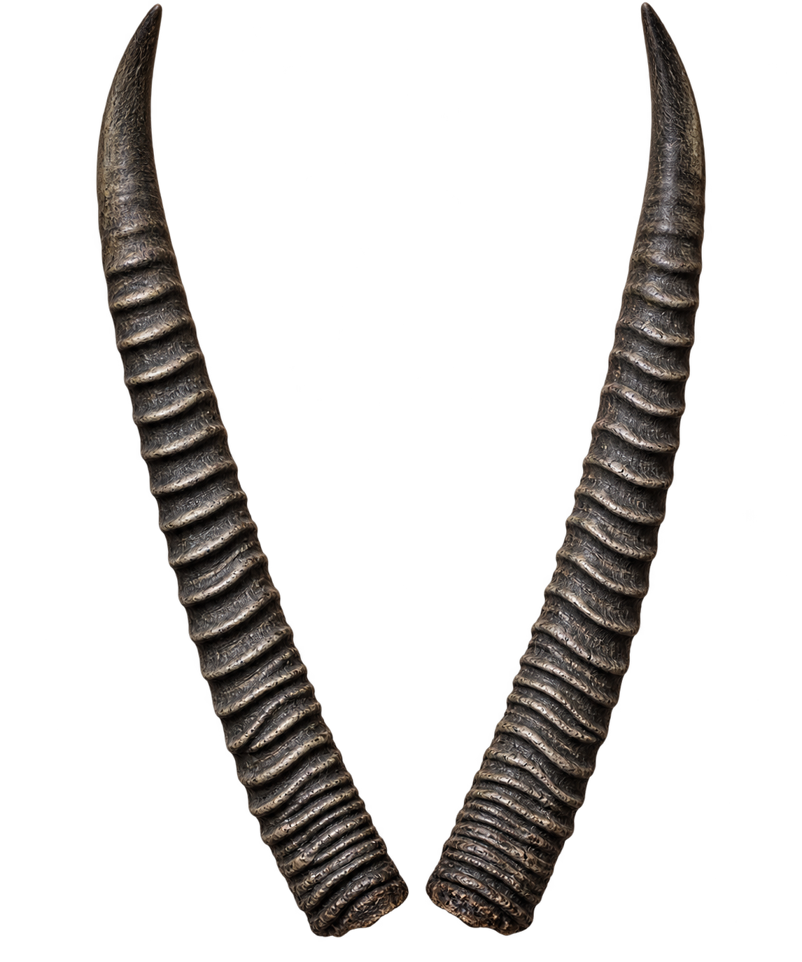 Wasserbock 2 - 75cm Schlauchlänge