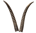 Wasserbock 1 - 63cm Schlauchlänge