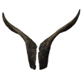 Ziegenbock heim. klein (2) - 56cm Schlauchlänge