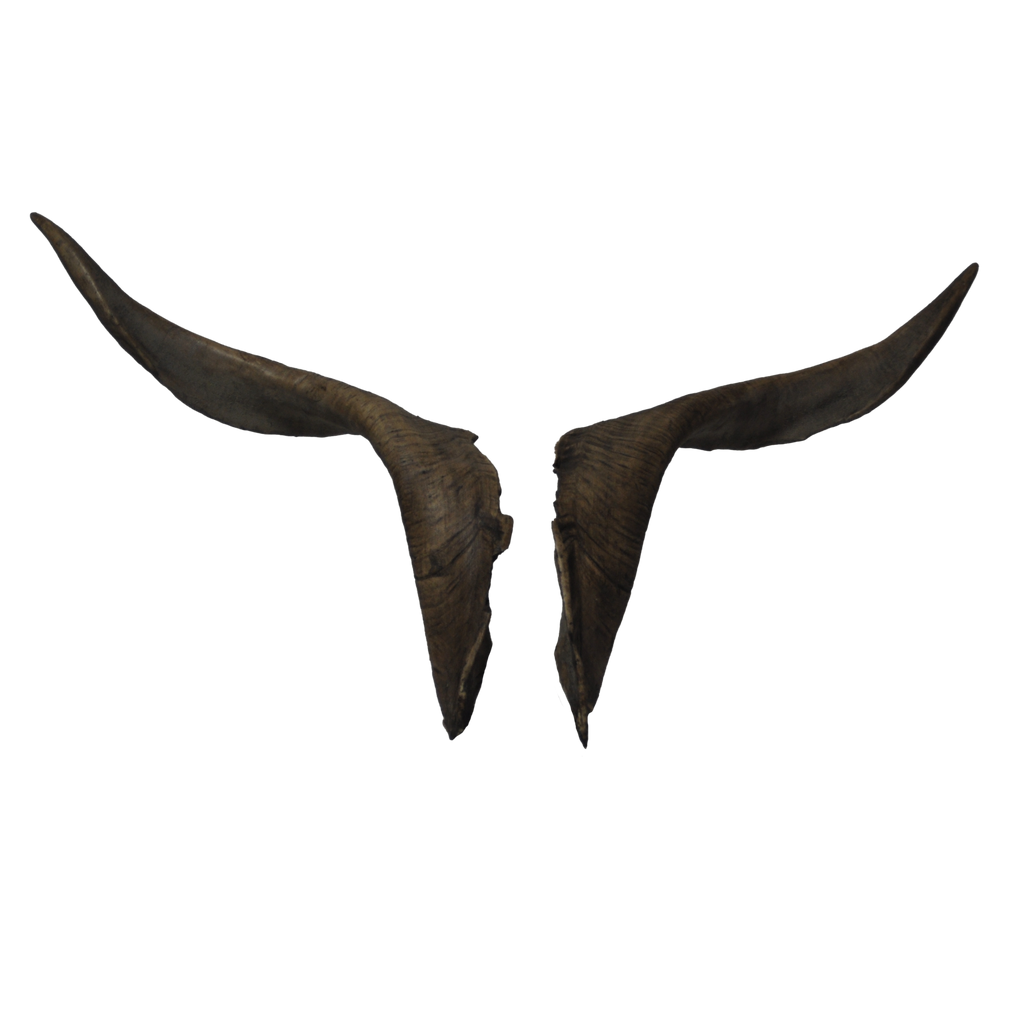 Ziegenbock heim. M4 - 69cm Schlauchlänge