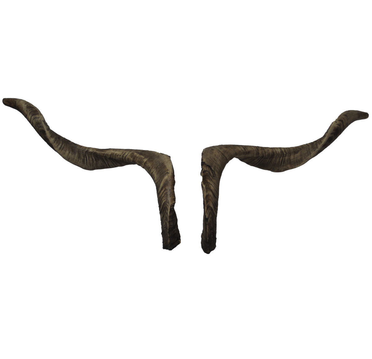 Ziegenbock heim. M5 - 77cm Schlauchlänge