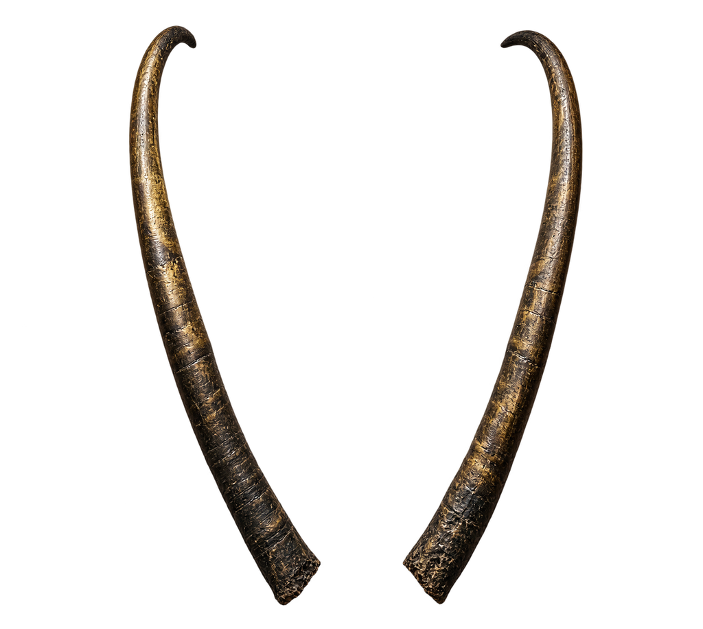 Asiatischer Wasserbüffel 2 - 96cm Schlauchlänge